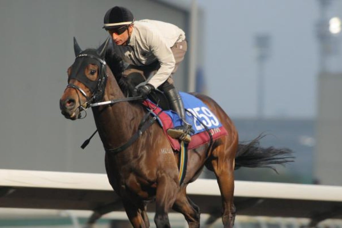 Time After Time is yet to prove himself at elite level but has impressed recently.