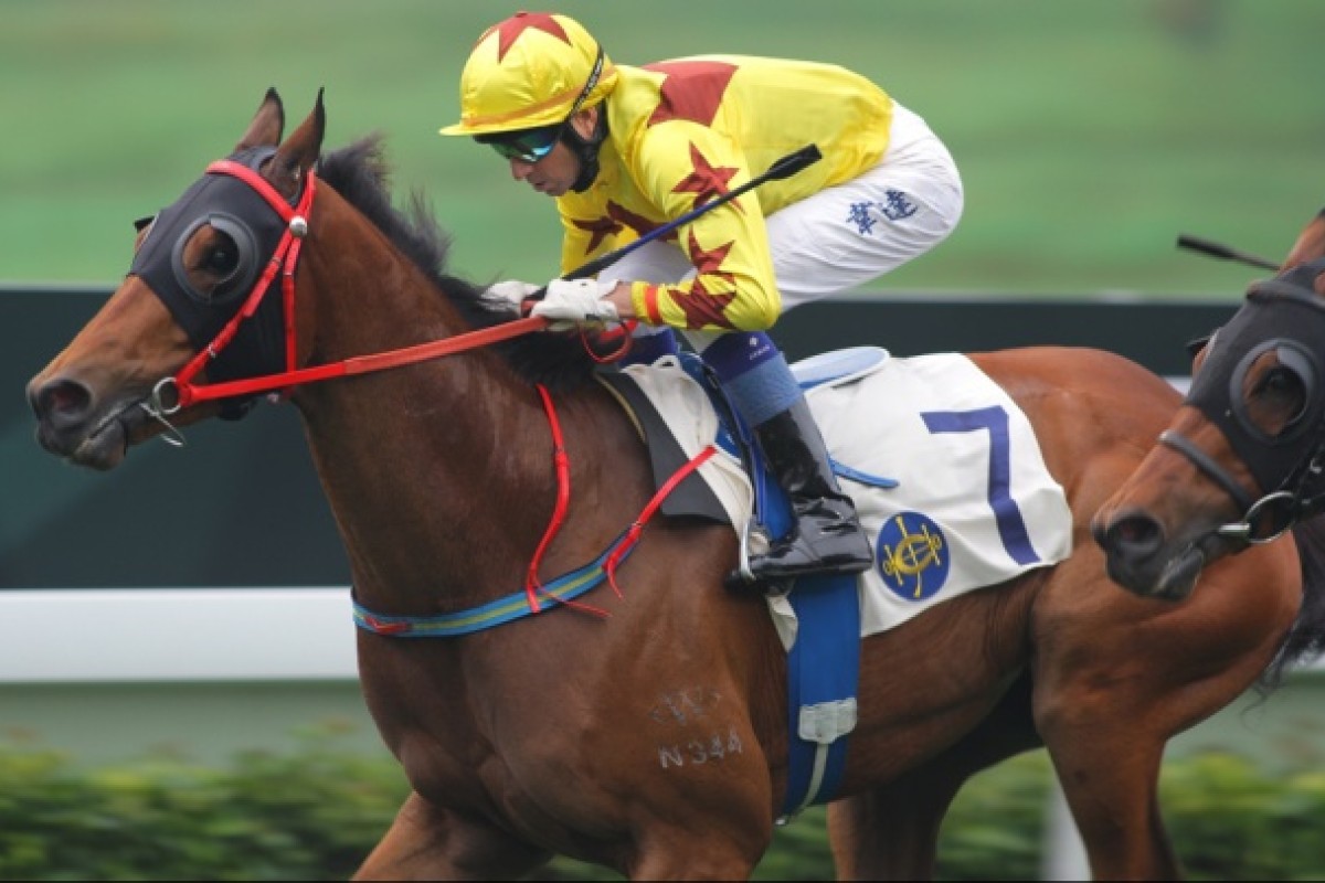 Sichuan Exec, ridden by Douglas Whyte. Photo: Kenneth Chan