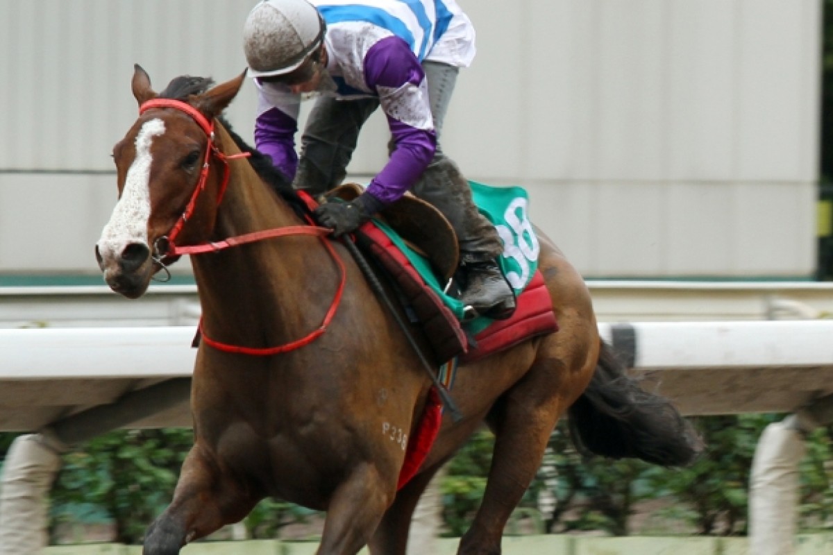 Amazing Treasure. Photo: SCMP