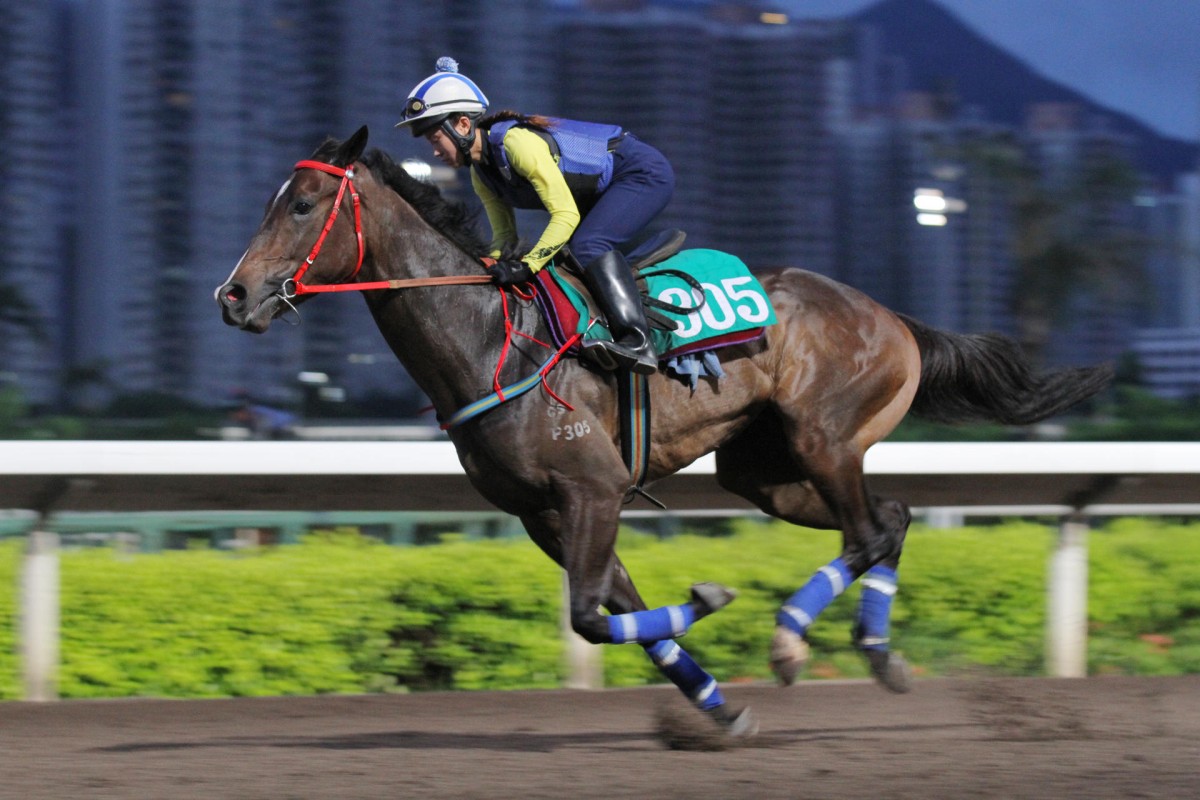 Dehere's The Love has always caught the eye in his morning exercises. Photo: Kenneth Chan