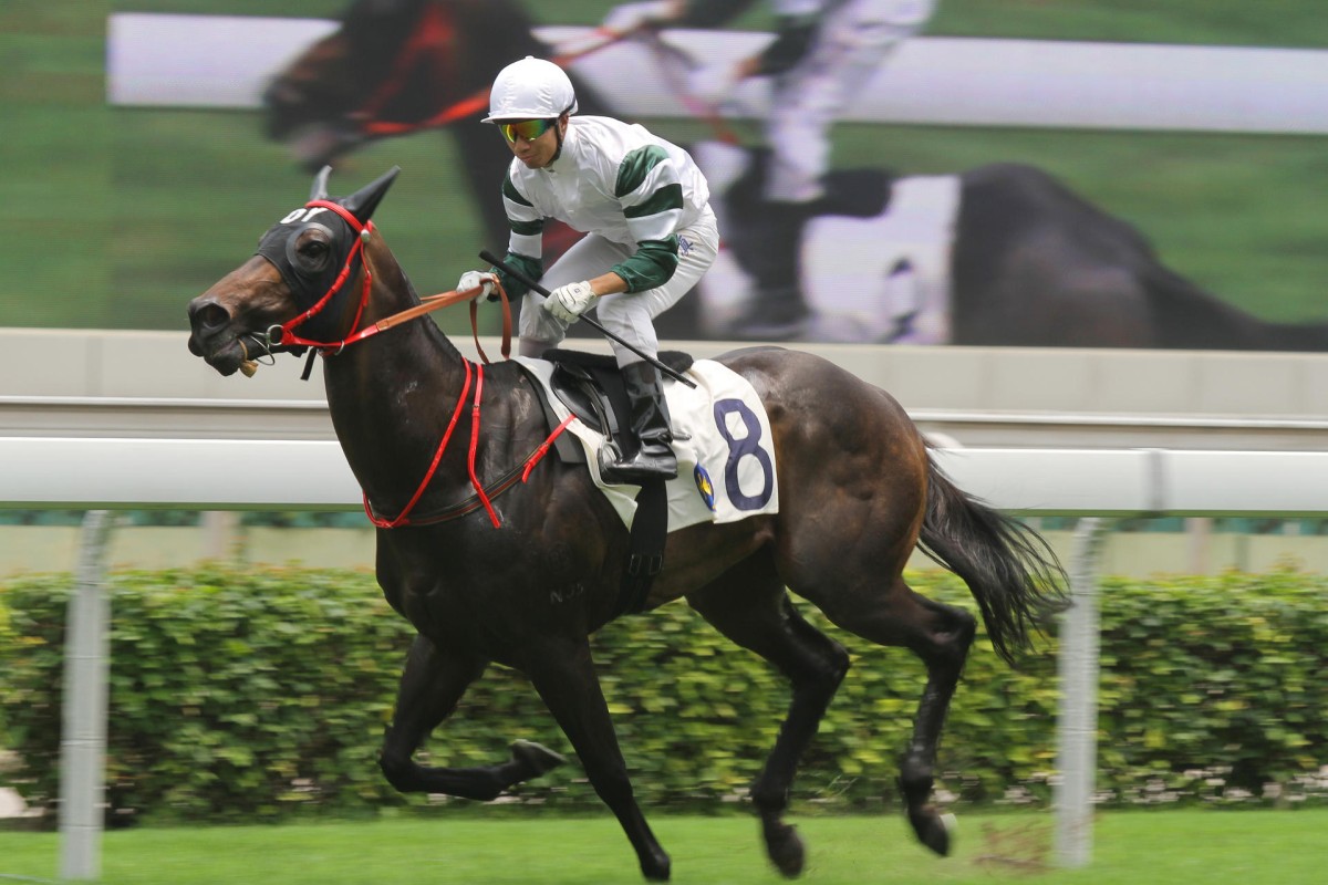 K-Moochi can prove his worth in Class Four. Photo: Kenneth Chan