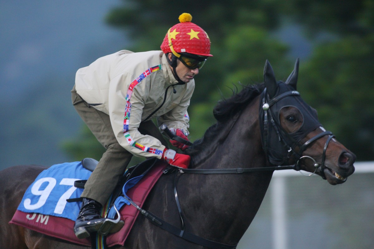 Xtension will have to prove himself on Tuesday to stay in the game. Photo: Kenneth Chan