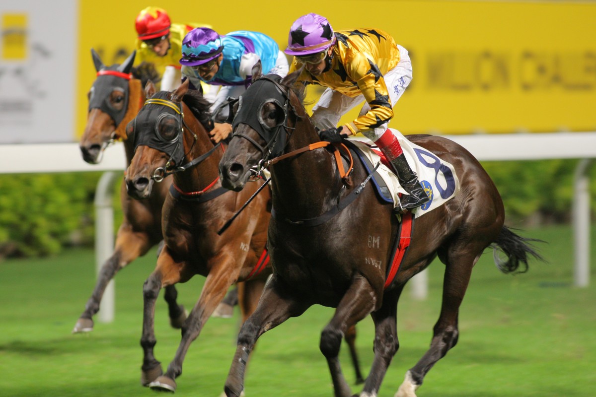 Dragon Pins has already won twice for Richard Gibson since his transfer from Almond Lee. Photo: Kenneth Chan