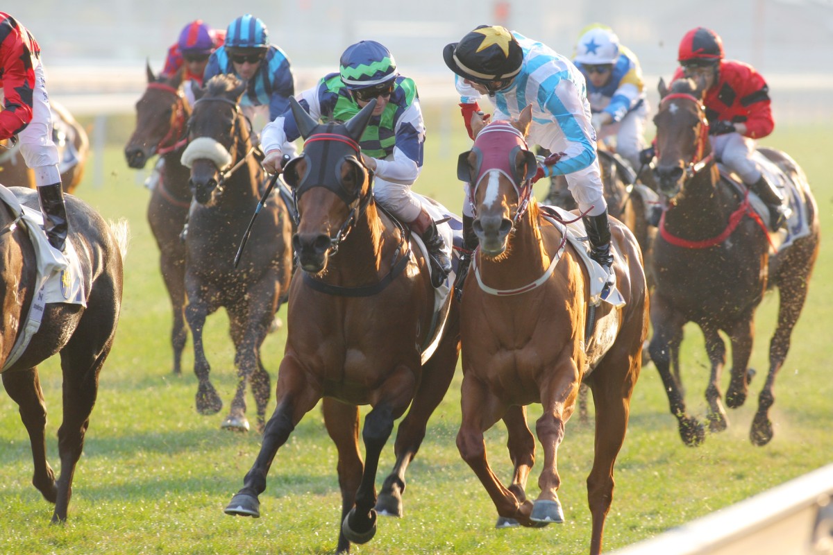 Umberto Rispoli (Pure Force, left) and Brett Prebble (Tango Fire) engage in banter after crossing the line in a head-bobber, with Prebble outduelling Rispoli. Photo: Kenneth Chan