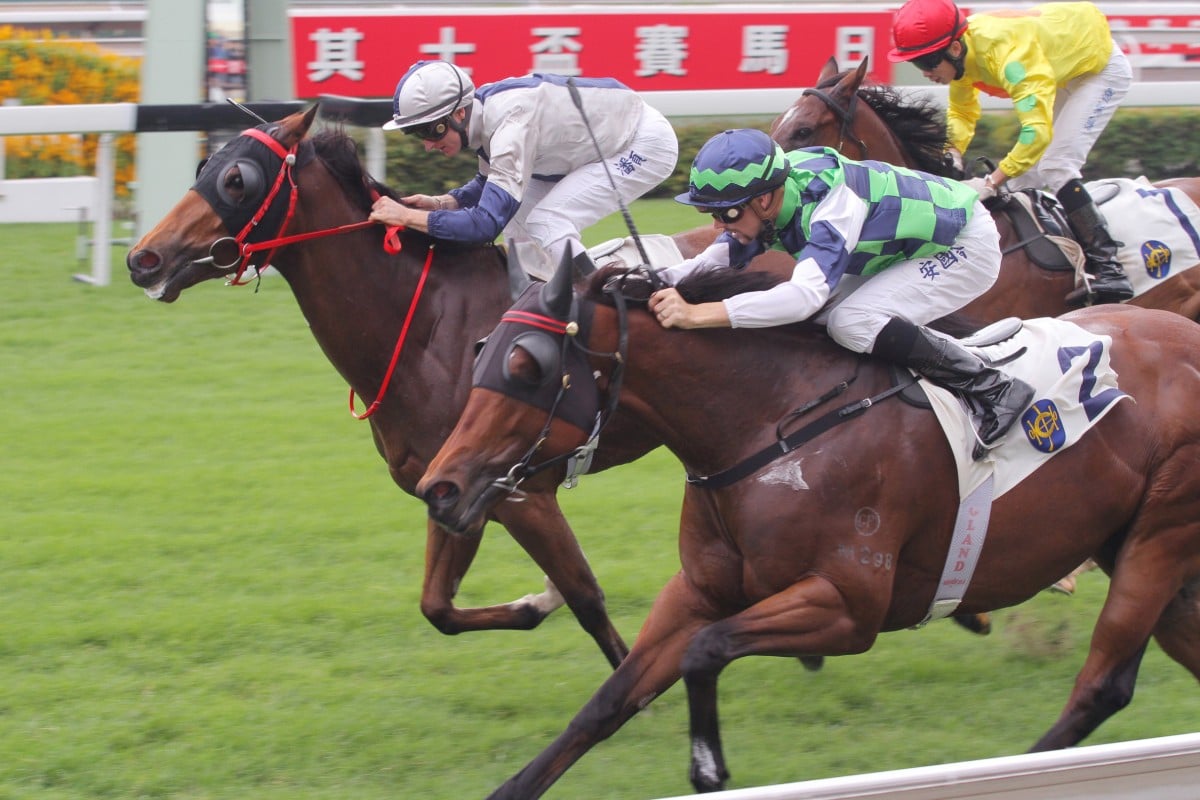 Archippus (inside) and Pure Force dead heat at Sha Tin in late November. Photo: Kenneth Chan