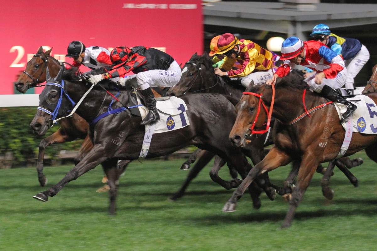 Calling With Love (Gerald Mosse) comes with a late burst to take the win and is one of a number of gallopers to follow out of the race. Photo: Kenneth Chan 