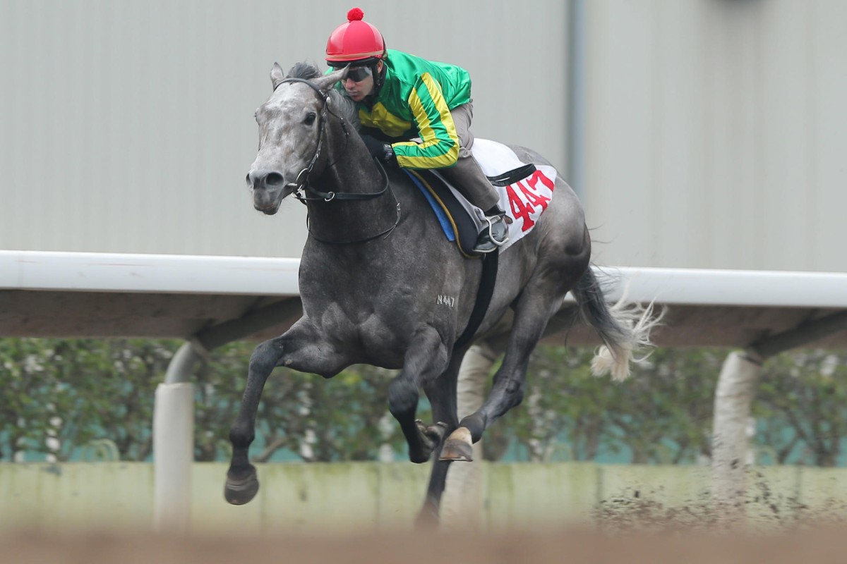 Lord Sinclair dominated on his preferred dirt surface, winning his trial easily on Friday. Photo: Kenneth Chan