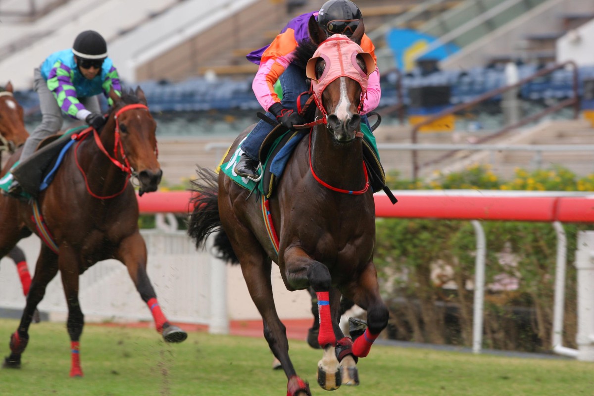 Redwood Baby can add to the winners' list for International Sales graduates in the opening leg of the Triple Trio on Wednesday. Photo: Kenneth Chan