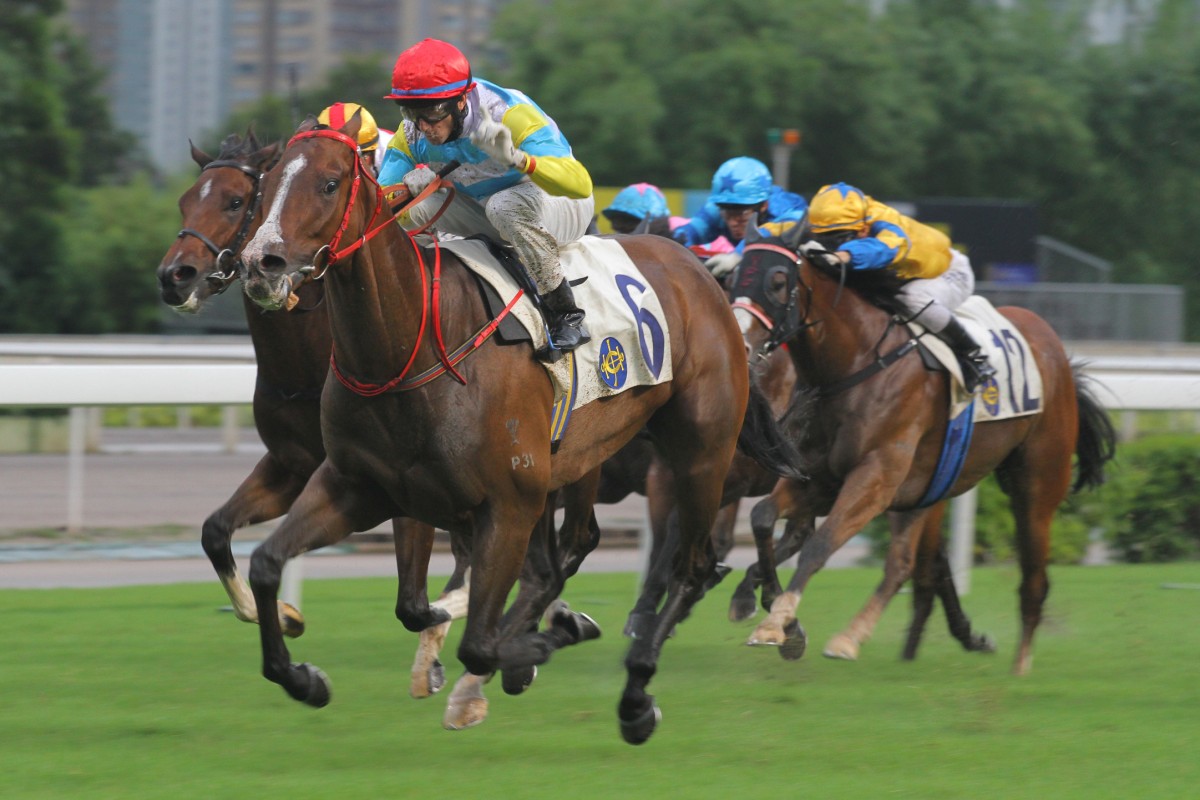 Tye Angland replaces Douglas Whyte aboard All You Wish hoping for a better start in Sunday's Stewards' Cup. Photo: Kenneth Chan