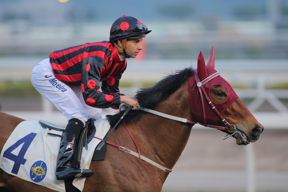 Ashkiyr stood up to be counted at Sha Tin on Sunday and can progress further. Photo: Kenneth Chan