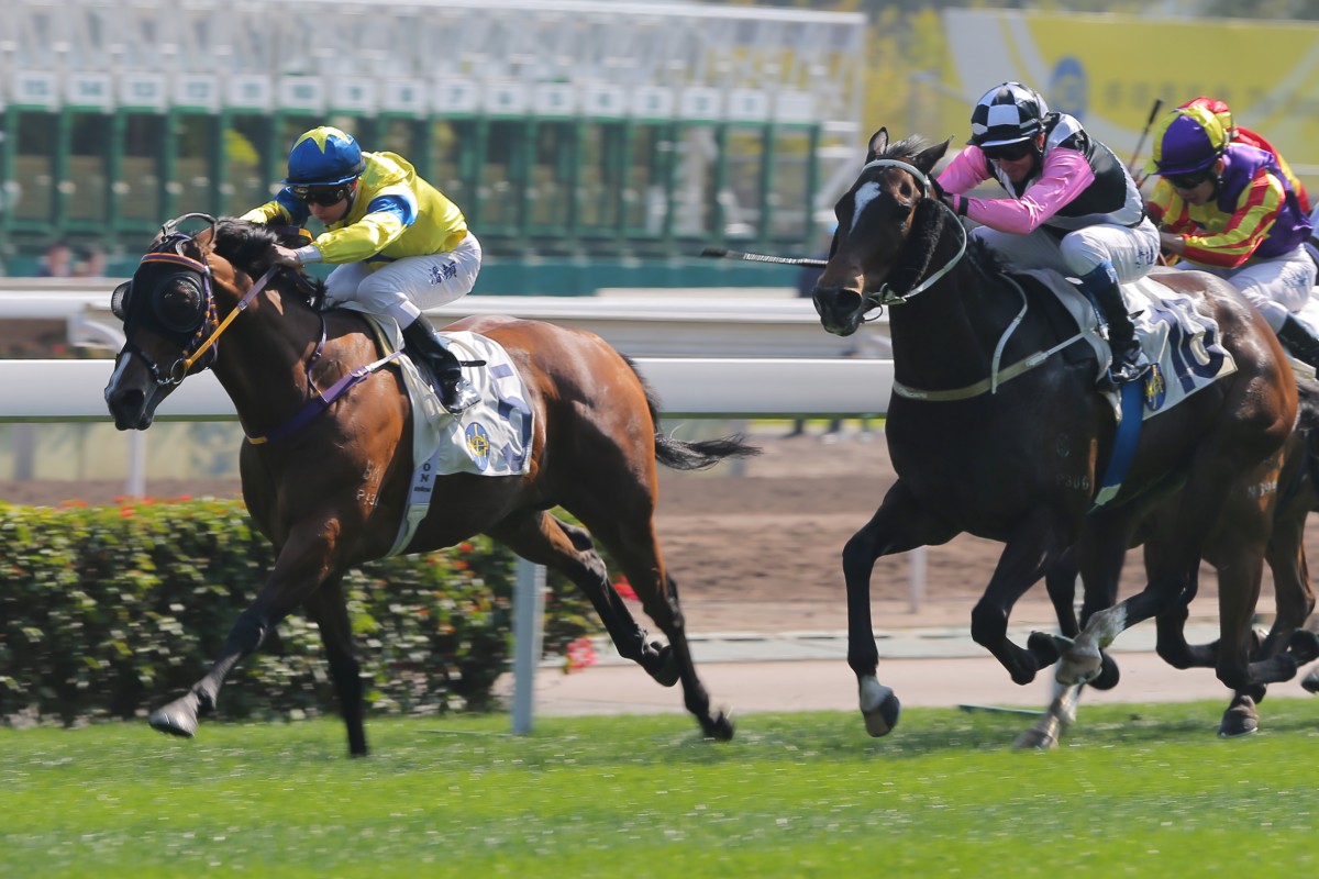 Zac Purton drives Precision King to the line to win his third consecutive race on Sunday. Photo: Kenneth Chan 