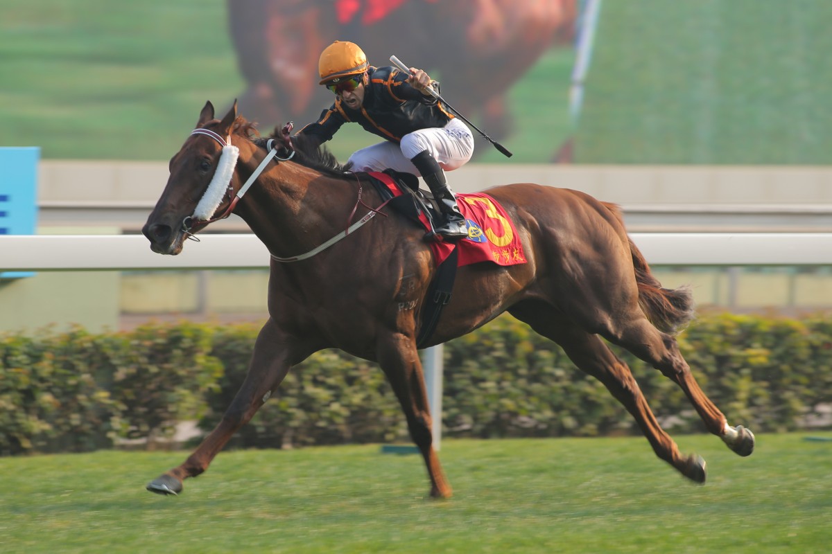 Able Friend was dominant in the Classic Mile, and a repeat will see him go very close in the Hong Kong Derby.
