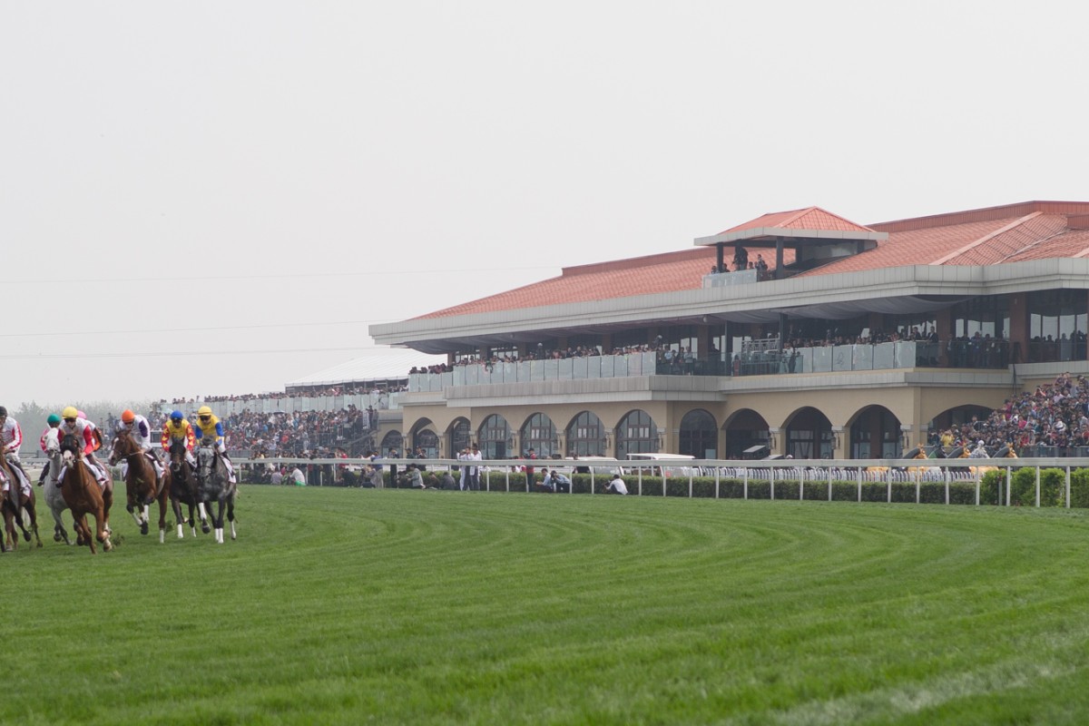 The running of the inaugural Chengdu Dubai International Cup. Photo: Dubai Racing Club/Neville Hopwood
                        