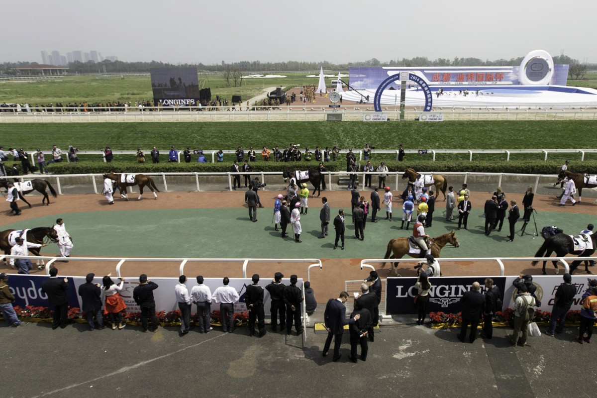 Photo: Neville Hopwood, Dubai Race Club