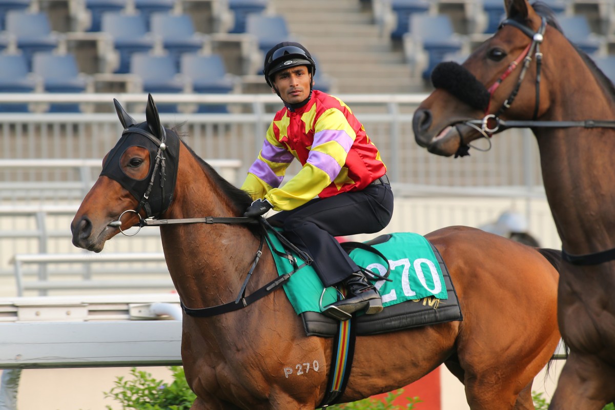 Karis Teetan - aboard Designs On Rome at Tuesday's trials - has had a big season so far, and plum opportunities are set to keep coming his way. Photo: Kenneth Chan