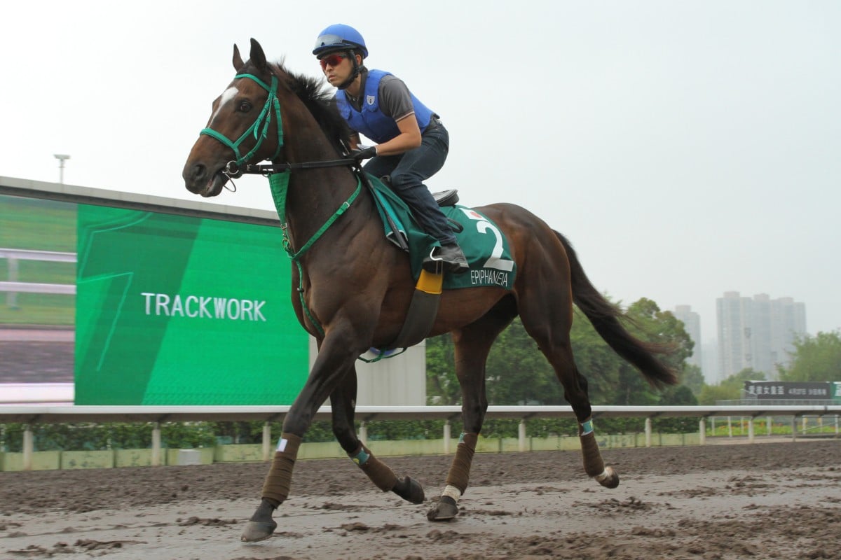 Jockey Yuichi Fukunaga takes Epiphaneia, a runner in the QE II Cup, for a walk on the all-weather track before a gallop on the turf at Sha Tin. Photo: Kenneth Chan
