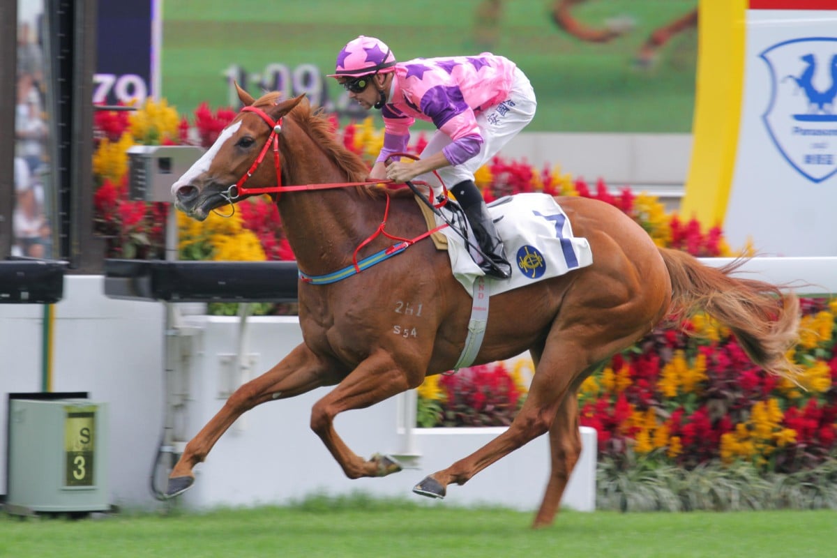 Silly Buddies wins for Tye Angland in November. Olivier Doleuze jumps aboard on Wednesday night. Photo: Kenneth Chan