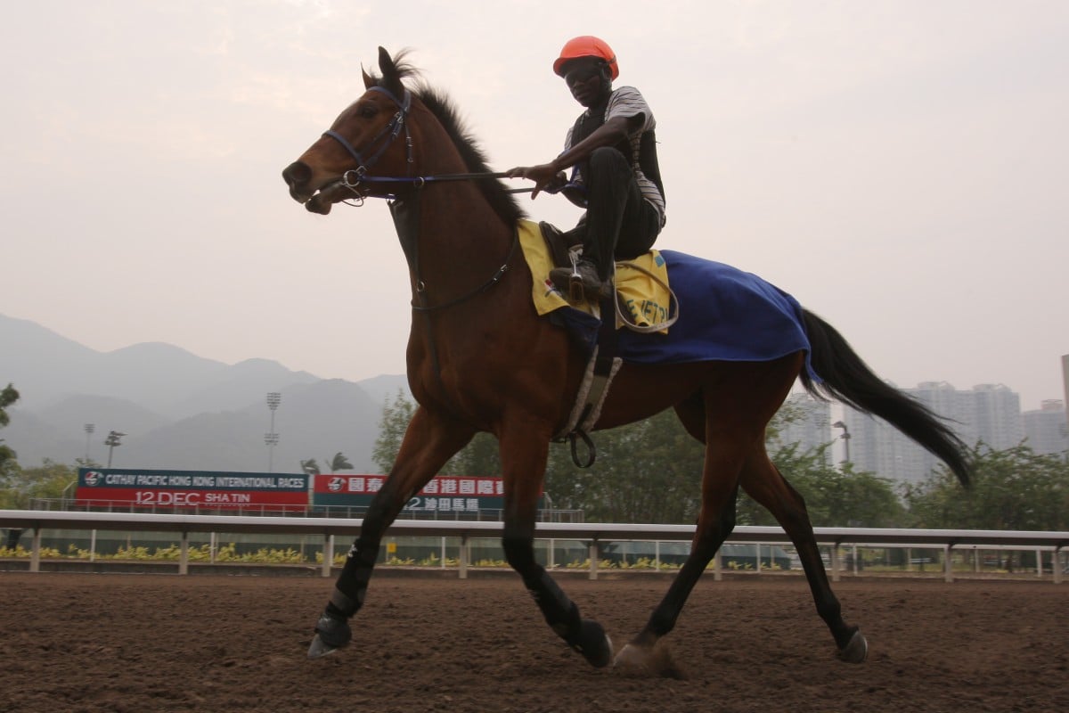 Horses from South Africa like JJ The Jet Plane, who won the Hong Kong Sprint in December 2010, go through months of quarantine purgatory to race overseas. Photo: Kenneth Chan