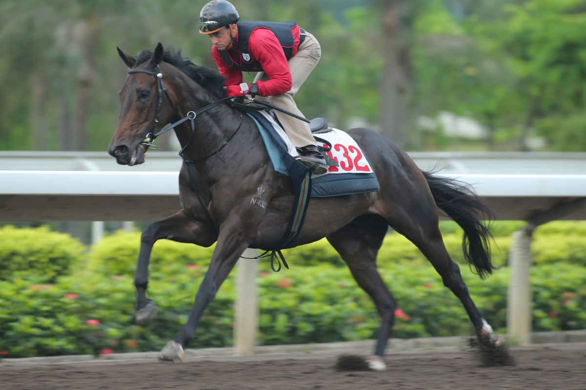 Karis Teetan aboard Amazing Always win the Class Five over 1200m at Sha Tin on September 8, 2013. Photo: Kenneth Chan