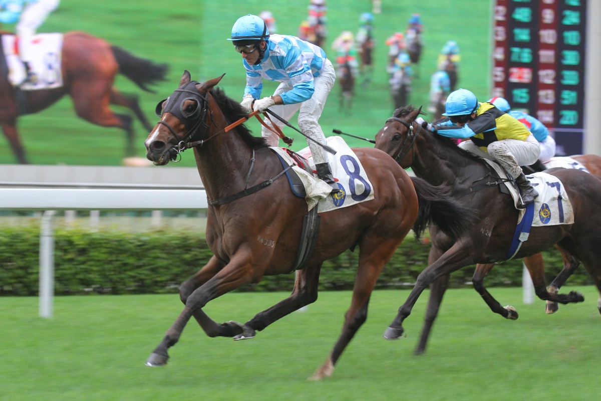 Olivier Doleuze cruises to victory in race two aboard Global Fame, the first leg of his riding double. It was also the first leg of trainer Richard Gibson's treble. Photo: Kenneth Chan