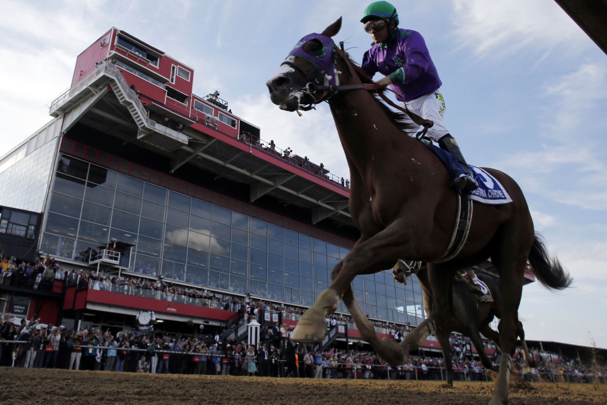 California Chrome inspires the ‘little guy’, says owner HK Racing