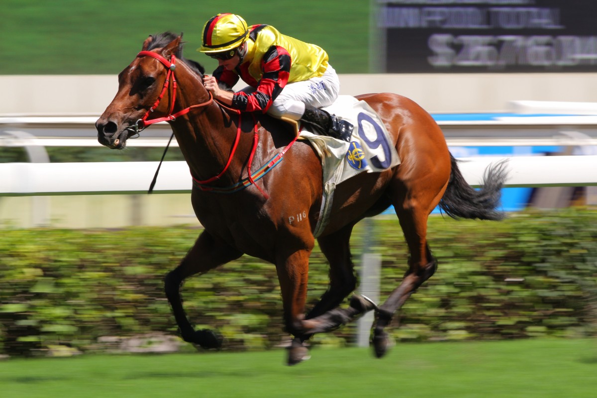 Zac Purton powers to the line aboard Demokles, which formed part of the Australian's four-timer at Sha Tin. Photo: Kenneth Chan