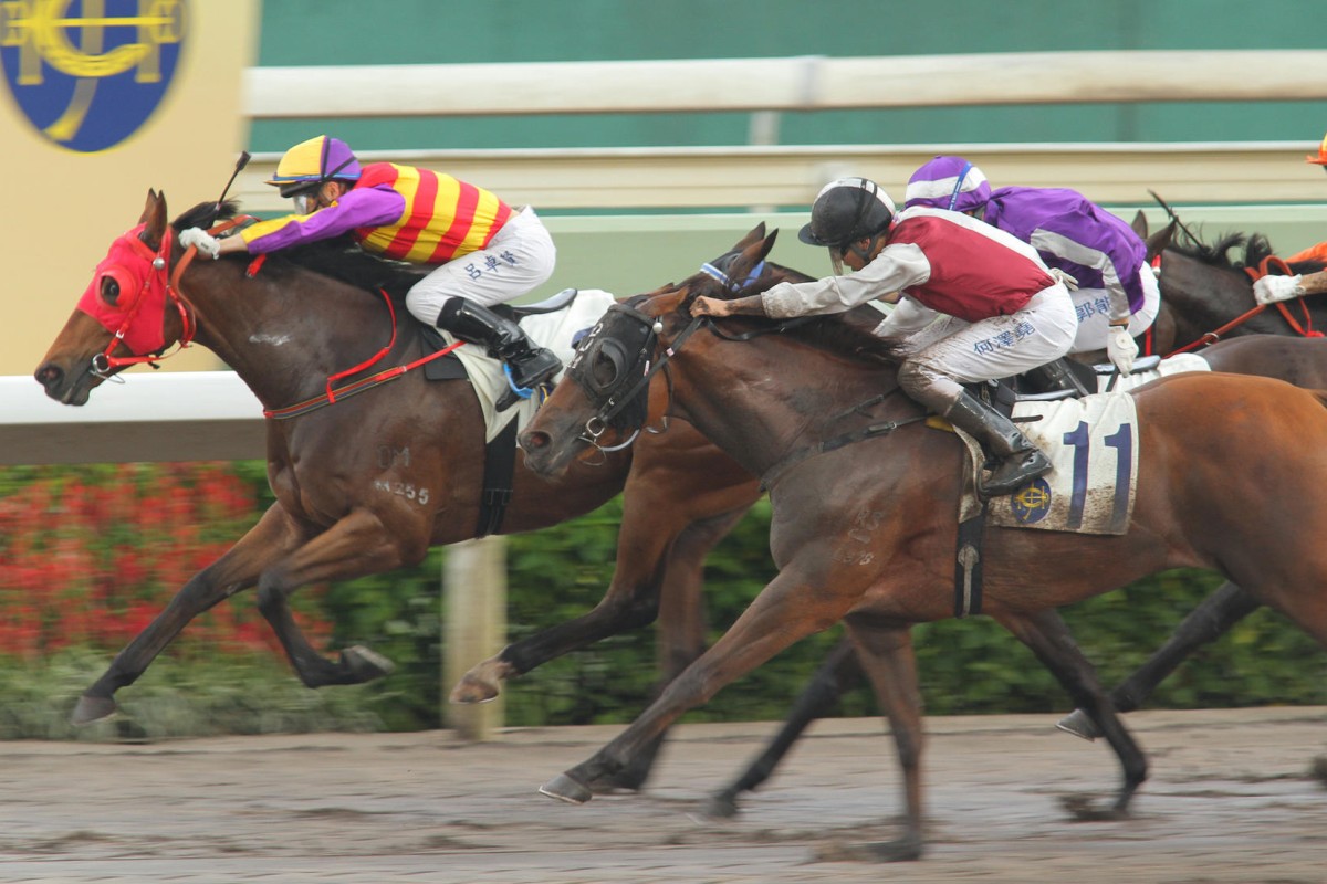 Grand Plus (right) was most unlucky when held up behind winner Novel Start on Tuesday. Photo: Kenneth Chan