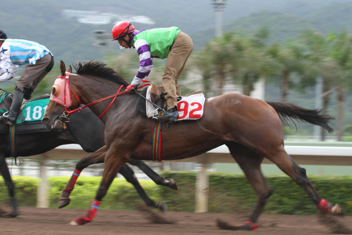 Floral Man, pictured in a trial last year, impressed on Sunday at Sha Tin. Photo: Kenneth Chan