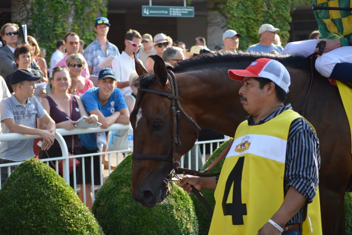 Chicago racing fans admire Finnegan's Wake before the race in August. Photo: Andrew Hawkins