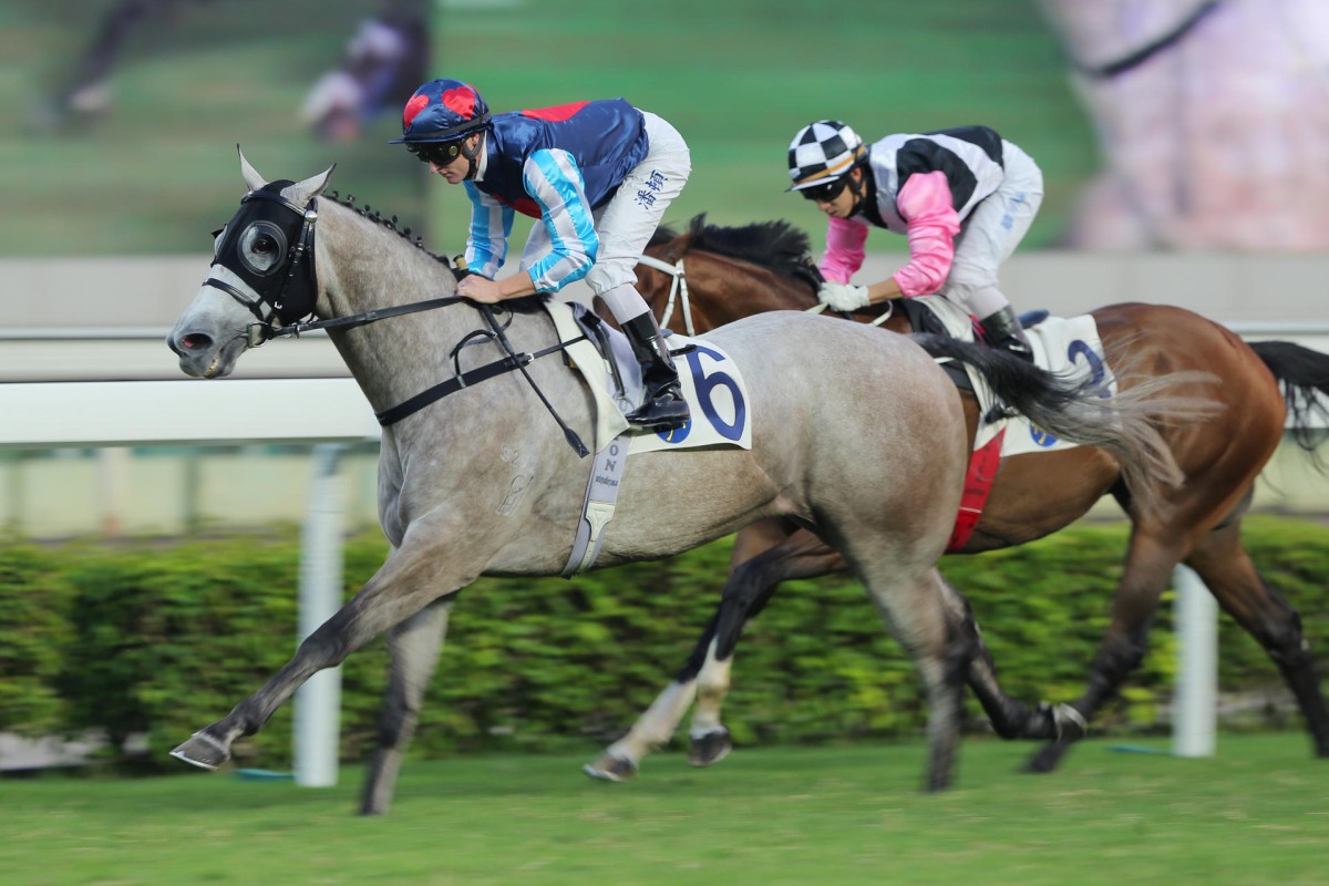 High-profile import Divine Calling is barely asked for an effort from Zac Purton but proves much too good for Beauty Flame (Matthew Chadwick). Photos: Kenneth Chan