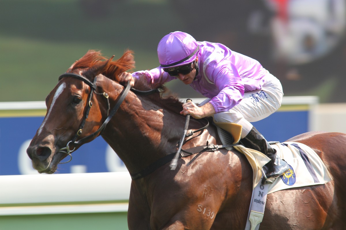 Zac Purton punches out Star Track to just hold off Thunder Flyer. Photo: Kenneth Chan