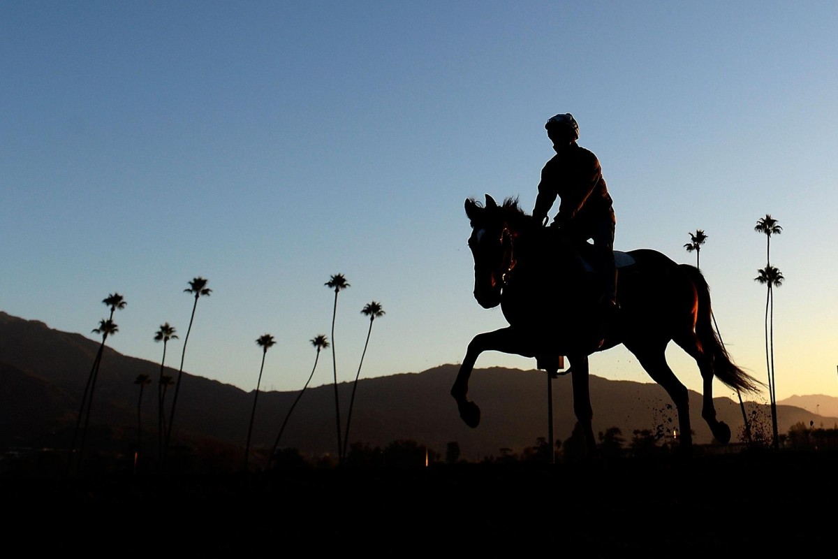A horse trains at Santa Anita Park ahead of the Breeders' Cup, where the clean air has been good for Rich Tapestry. Photo: AP