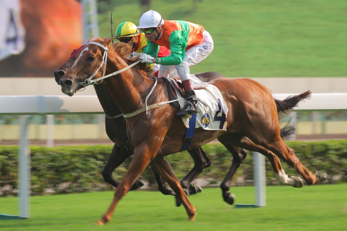 Gerald Mosse drives Terrific Master to the line but his ride incurred a three-day ban by stewards. Photos: Kenneth Chan