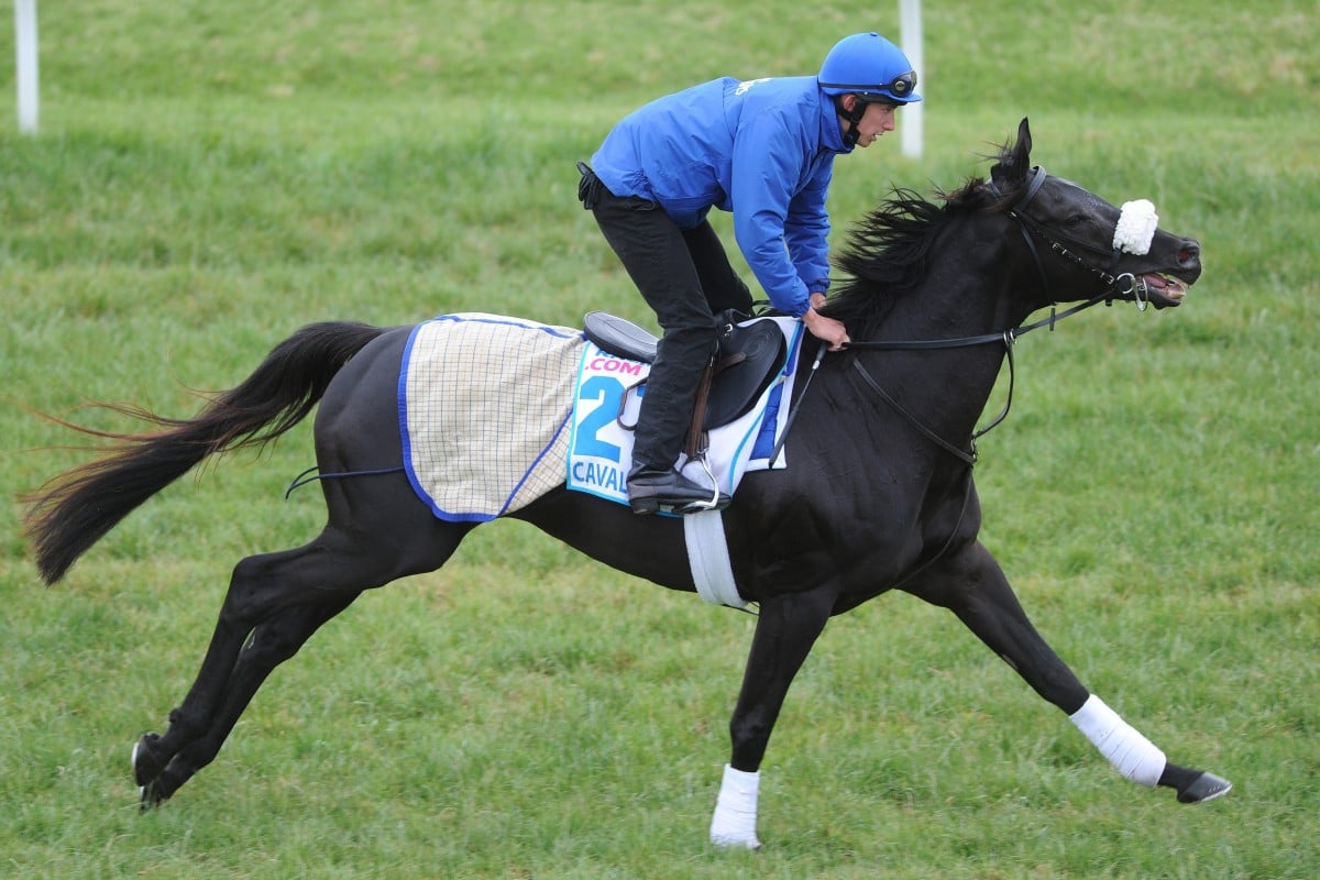 Godolphin-trained, Melbourne Cup contender Cavalryman was one of two Saeed bin Suroor chances in the race. Photo:  EPA