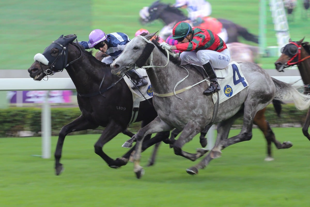Packing Llaregyb (Mirco Demuro) fights off a thundering Willie Cazals (Gerald Mosse) to snatch the Sa Sa Ladies' Purse at Sha Tin yesterday. Photos: Kenneth Chan