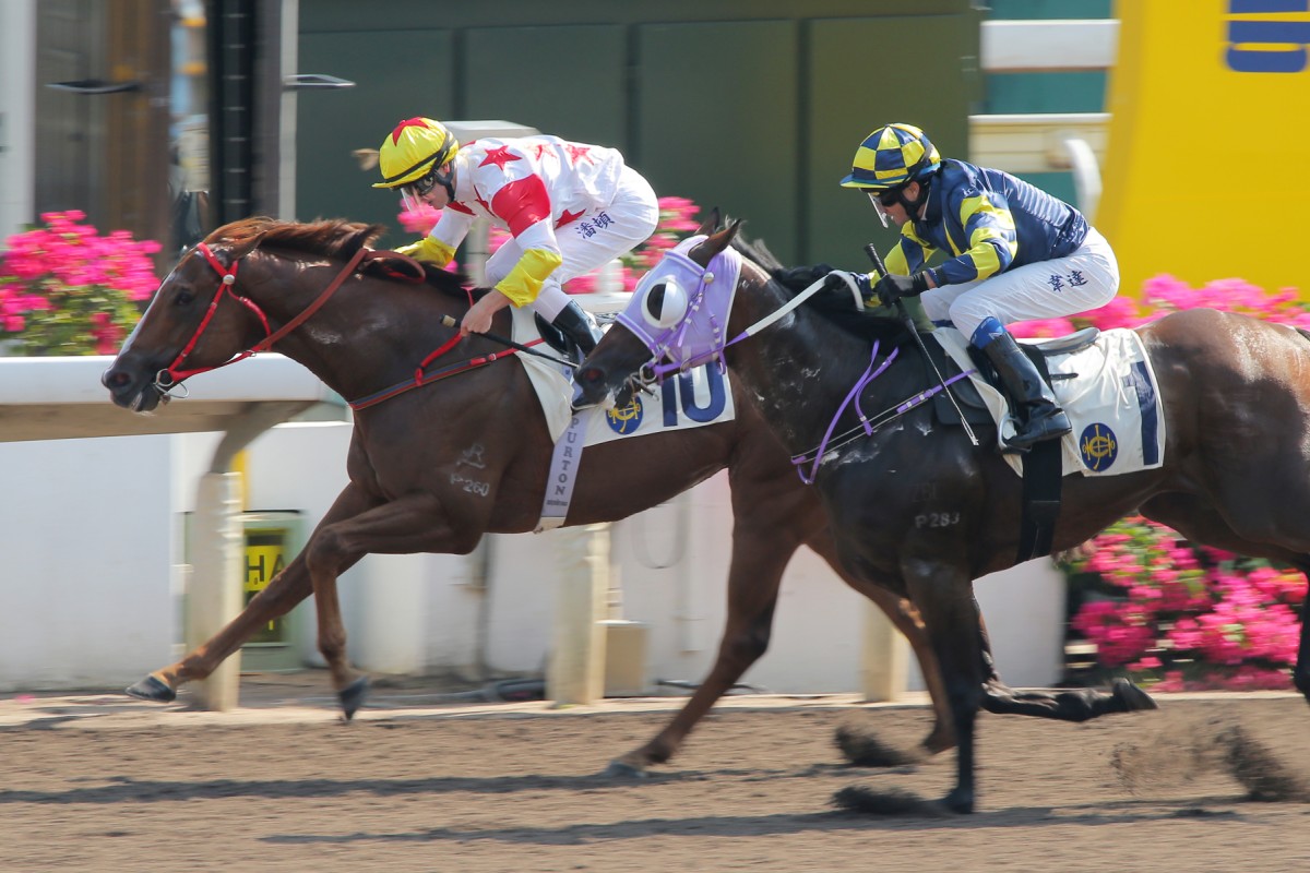 Champion jockey Zac Purton gets the programme off to a bright start with victory aboard Mighty Gains. Photos: Kenneth Chan