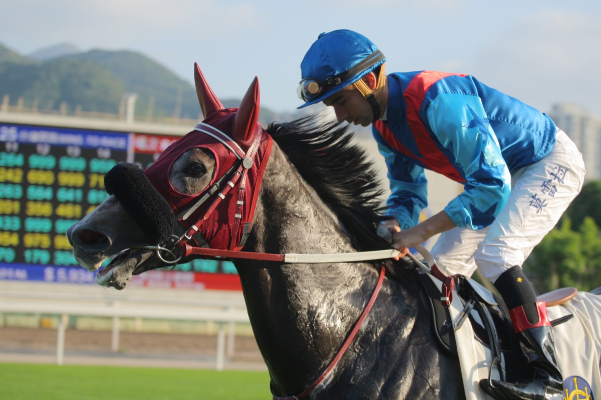 Joao Moreira brings Pablosky back to the winner's circle after his impressive dirt victory. Photo: Kenneth Chan