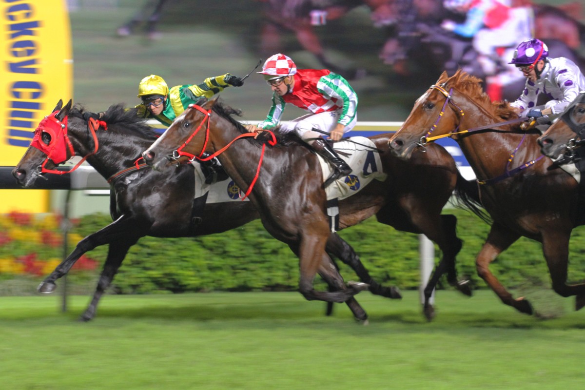 Unbeatable Guts finishes second to Cheers Victories in June. He can break through on Sunday. Photo: Kenneth Chan