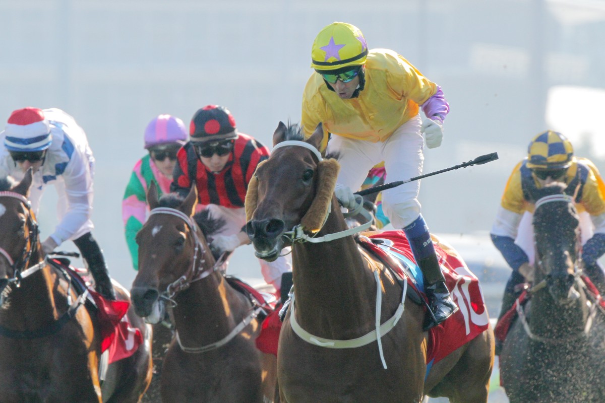 Douglas Whyte celebrates after winning the Jockey Club Sprint on Peniaphobia, but there were a number of hard luck stories, including Aerovelocity (second from left) and Sterling City (right). Photo: Kenneth Chan