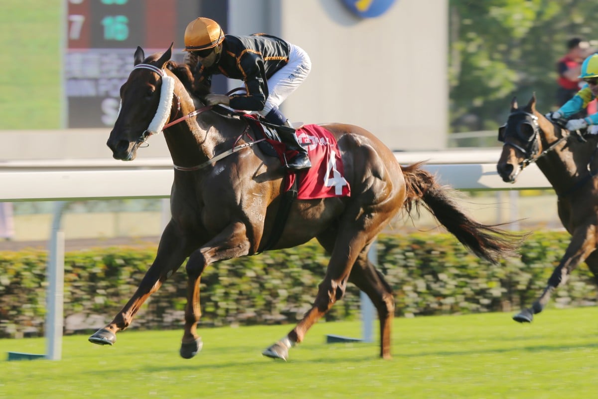 Able Friend waltzes home in last Sunday's Jockey Club Sprint. Photo: Kenneth Chan