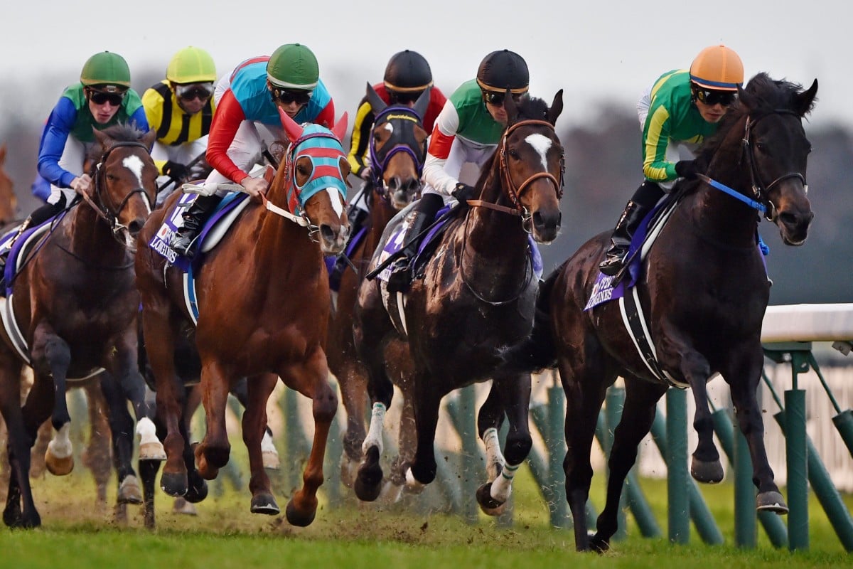 Sunday's Japan Cup raised a number of queries. Photo: AFP