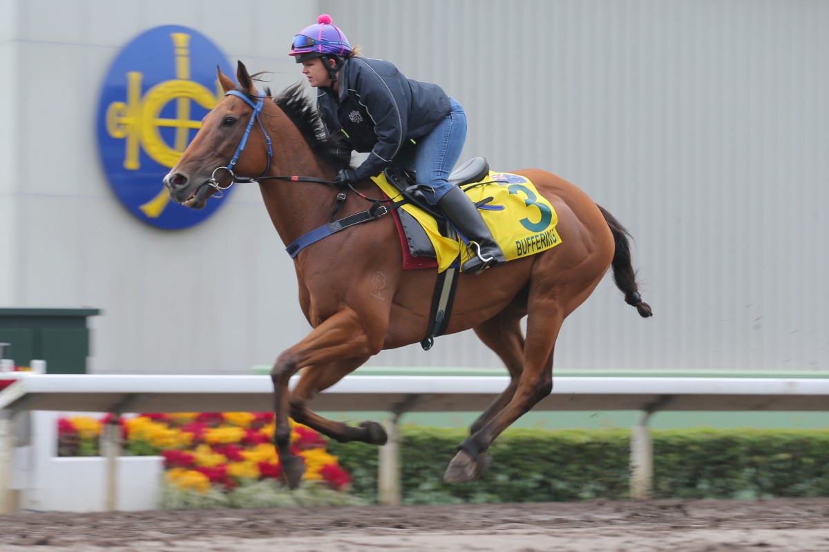 Buffering works at on the all-weather in Sha Tin. Photos: Kenneth Chan