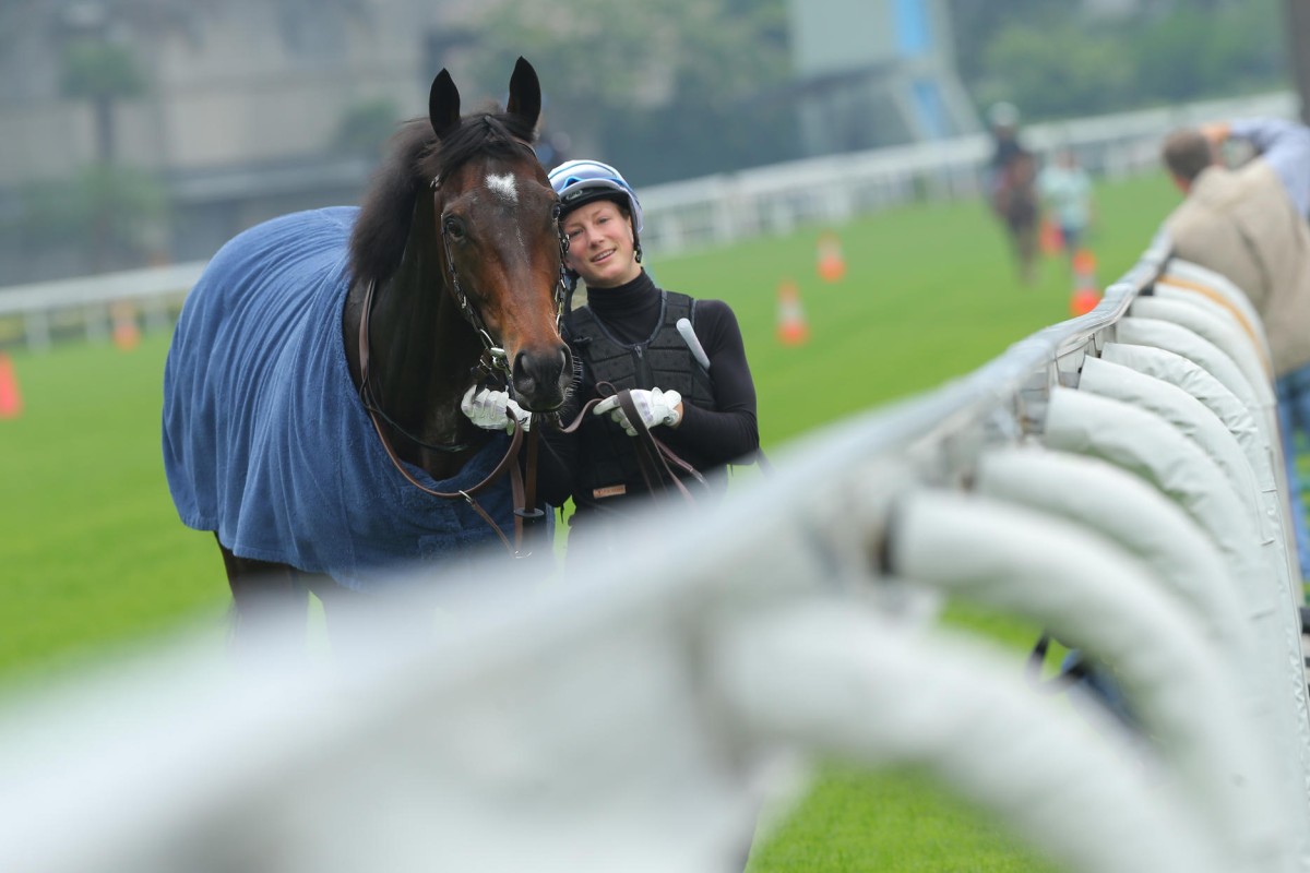 Work rider Annelie Ackerman walks Flintshire back to the stable after a steady gallop in readiness for Sunday's HK$16.5 million Longines Hong Kong Vase at Sha Tin. Photos: Kenneth Chan