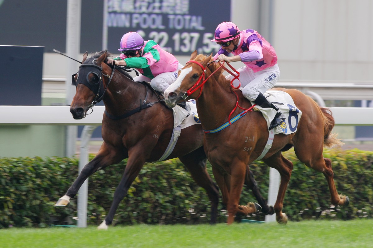 Aerovelocity kicks back to hold off favourite Silly Buddies in the Class Three over 1,200m that kicked off international day in 2013. A year on, Paul O'Sullivan's Aerovelocity is likely to start favourite in the Hong Kong Sprint. Photo: Kenneth Chan