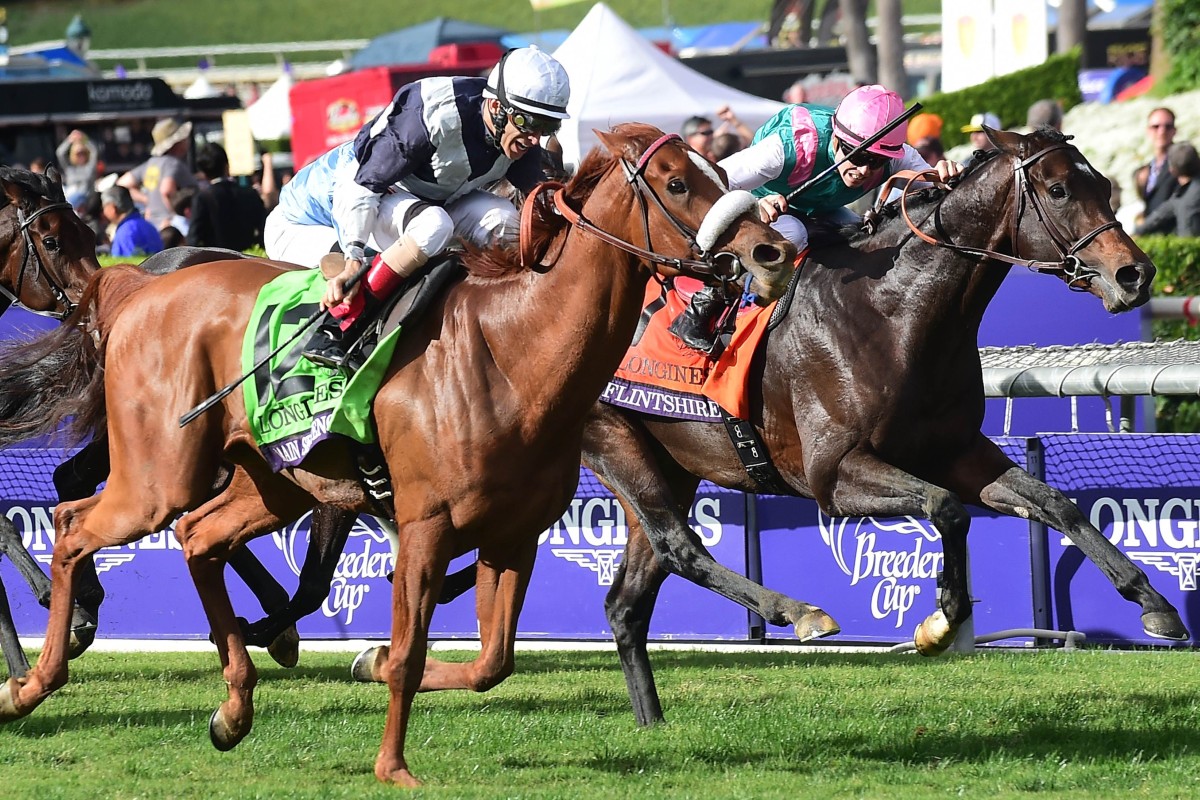 Flintshire fights back on the inside but Main Sequence proves too strong in the Breeders' Cup Turf at Santa Anita. Photo: AFP