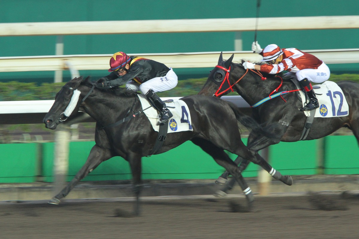 Master Kochanwong, who came from a Magic Million sale and was sold on as a Private Purchase, wins a Class Two over 1200m at Sha Tin early in December with Douglas Whyte aboard. Photos: Kenneth Chan