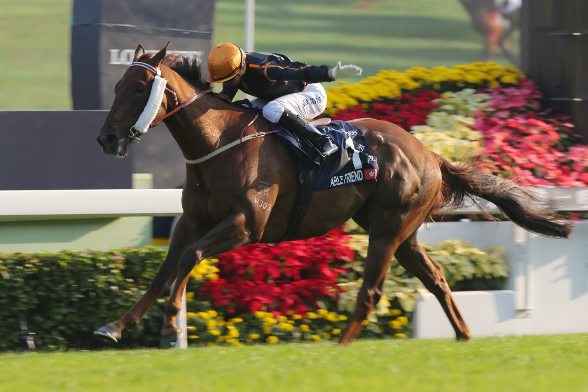 Hong Kong Mile winner Able Friend would be a drawcard for Sydney's The Championships, but how likely is it that he'll head to Australia? Photo: Kenneth Chan