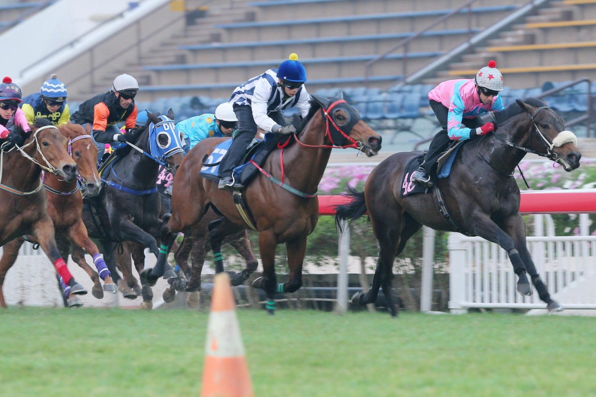 Got Fly (Douglas Whyte) beats Business As Usual (Derek Leung). Photo: Kenneth Chan