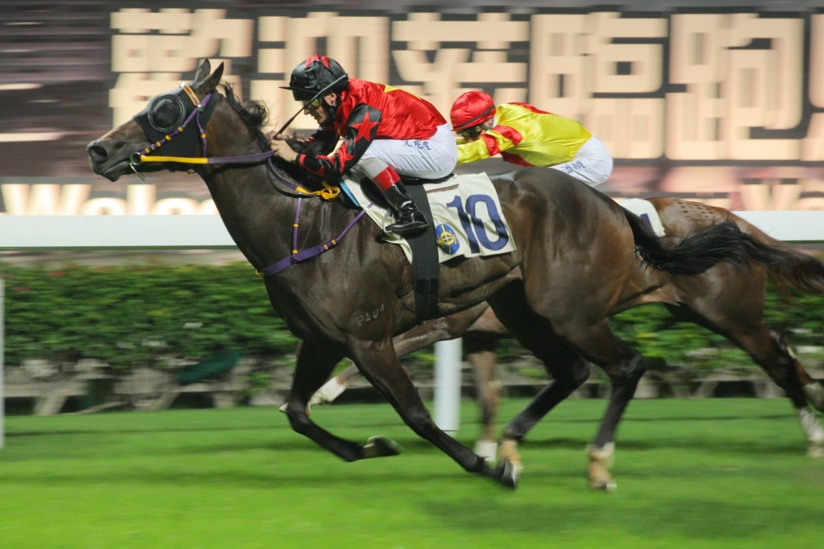 Regency Ho Ho is nearing another win. Photo: Kenneth Chan