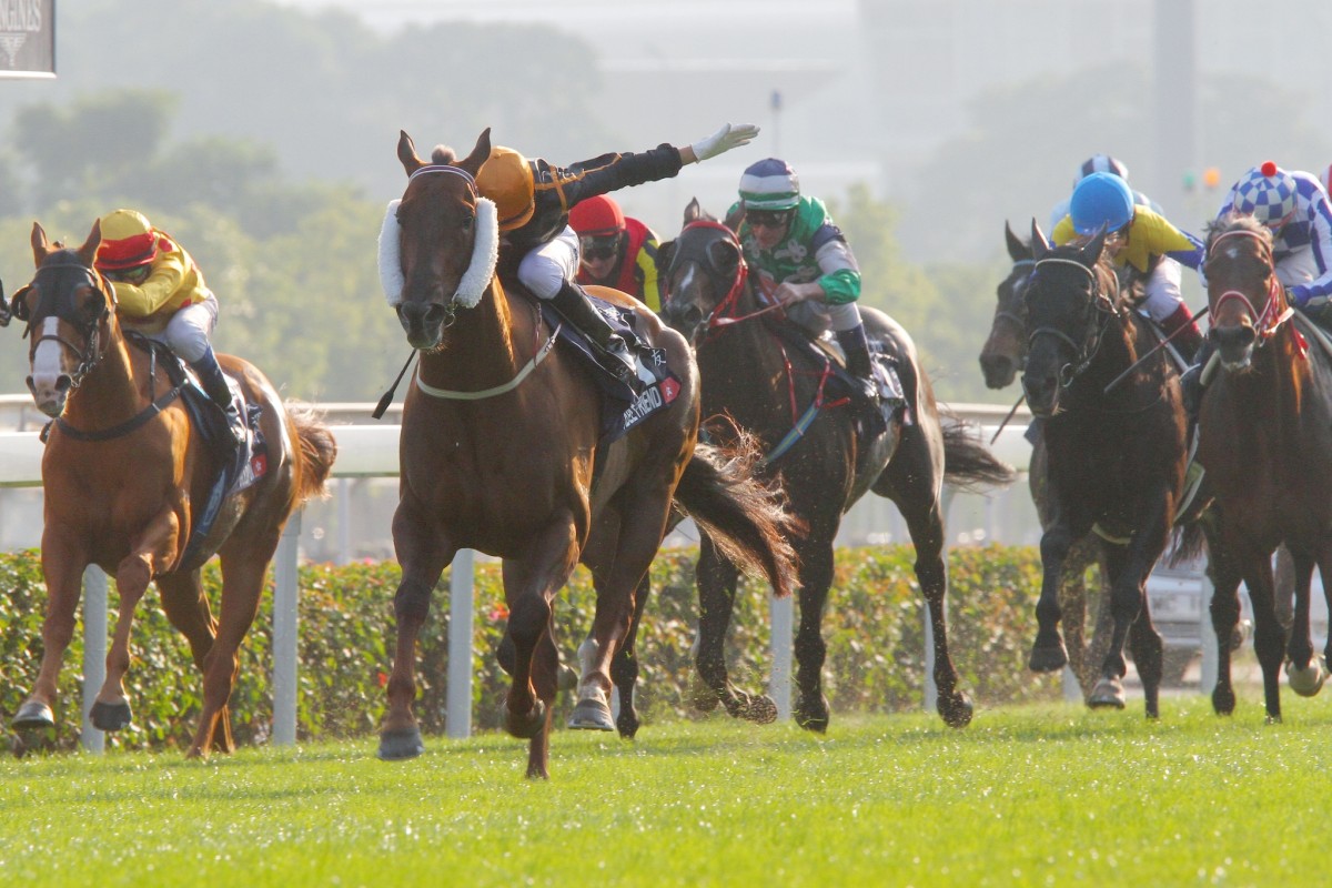 Hong Kong Mile winner Able Friend was the star attraction at Tuesday morning's barrier trial session at Sha Tin. Photo: Kenneth Chan